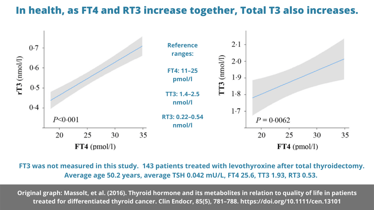 Rt3 Defect RT3 inhibits T4-T3 conversion. How worried should we be? – Thyroid ...