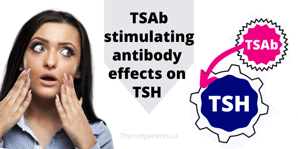 The TSAb stimulating antibody can lower TSH despite euthyroid status.