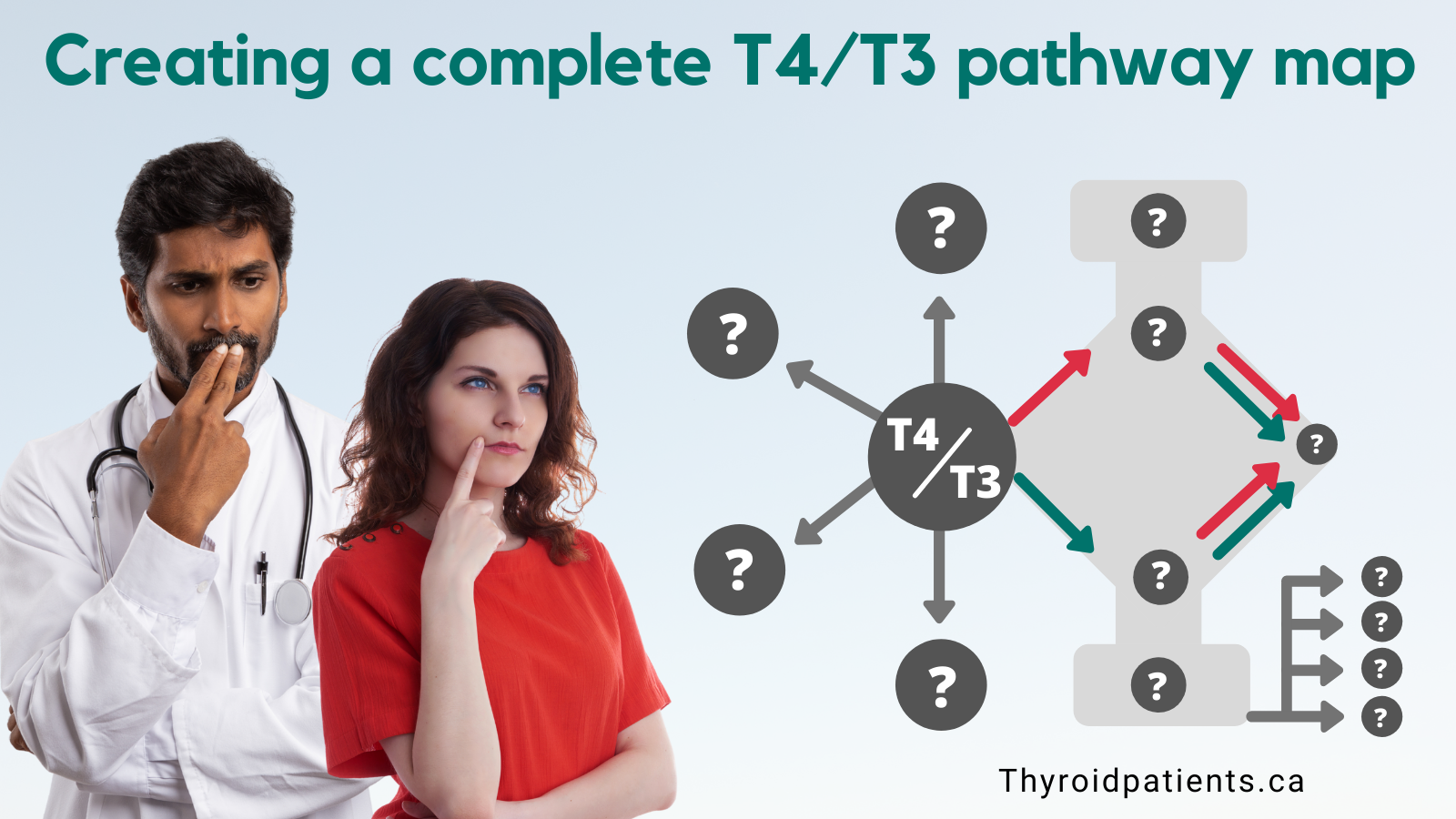 A complete pathway map of T4 and T3 metabolism and clearance